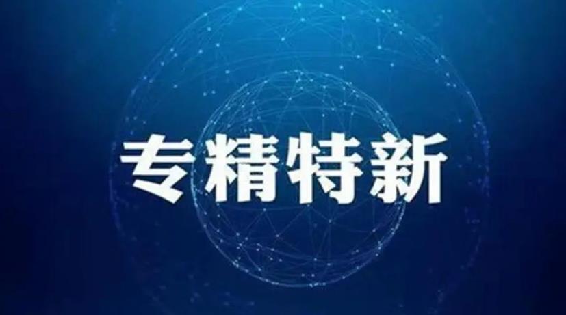 專(zhuān)精特新 專(zhuān)精特新