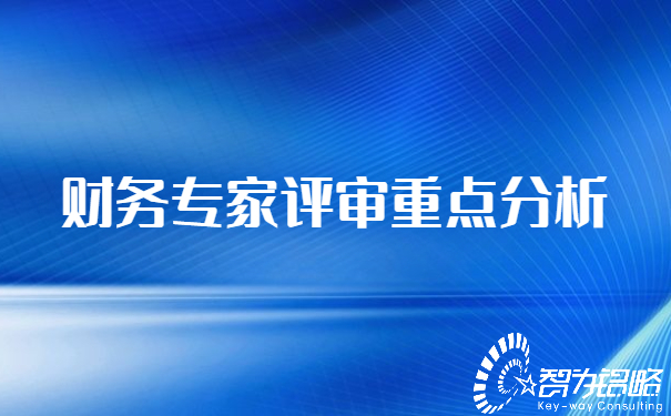 1652335611188951.jpg 財務(wù)專家評審重點分析.jpg