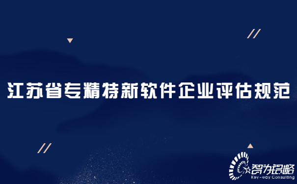 1655707946200143.jpg 江蘇省專精特新軟件企業(yè)評(píng)估規(guī)范.jpg