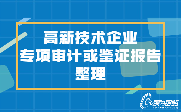 1657247436536699.jpg 高新技術(shù)企業(yè)專項(xiàng)審計(jì)或鑒證報(bào)告整理.jpg
