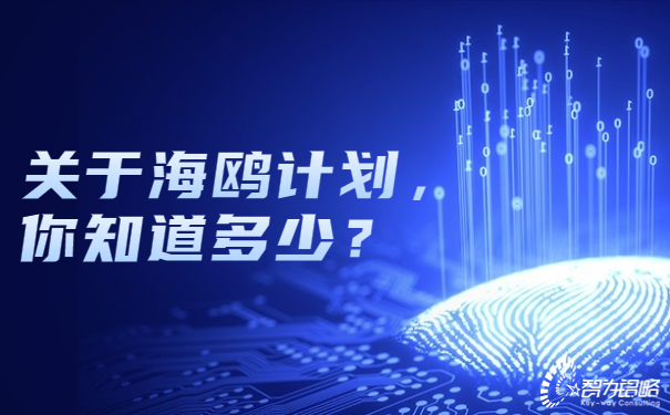 關(guān)于海鷗計(jì)劃，你知道多少？.jpg