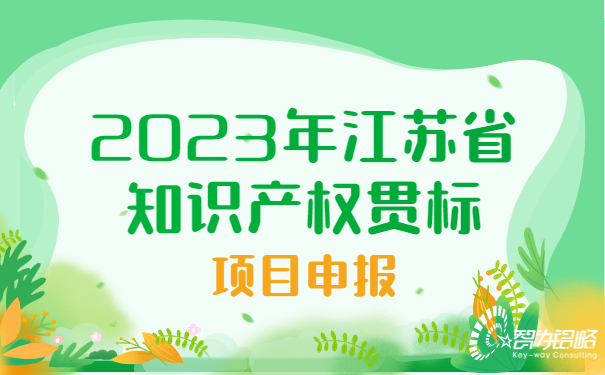 2023年江蘇省知識(shí)產(chǎn)權(quán)貫標(biāo)項(xiàng)目咨詢(xún)