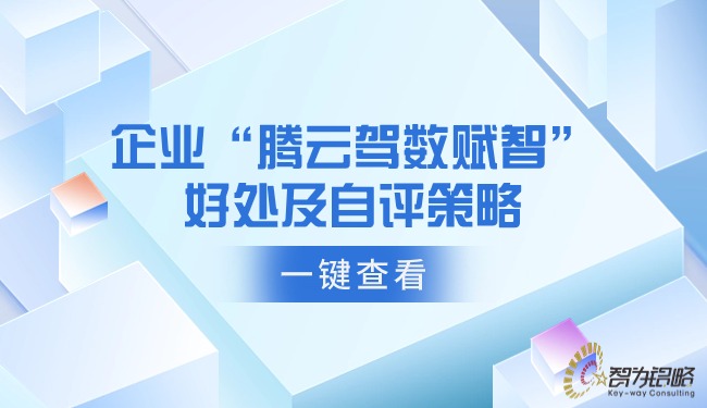1713144931292720.jpg 企業(yè)“騰云駕數(shù)賦智”的好處及自評(píng)策略.jpg