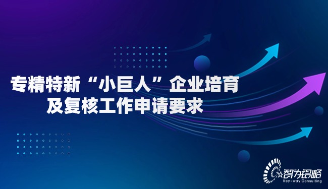 1713837974935260.jpg 專精特新“小巨人”企業(yè)培育及復(fù)核工作申請要求.jpg