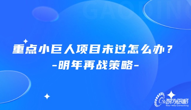 重點(diǎn)小巨人項(xiàng)目未過怎么辦？明年再戰(zhàn)策略.jpg
