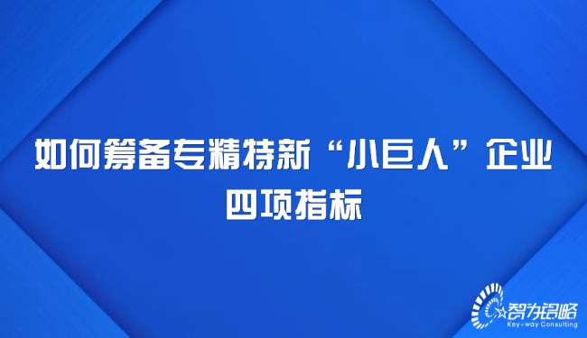 1733103365169762.jpg 如何籌備專精特新“小巨人”企業(yè)四項(xiàng)指標(biāo).jpg