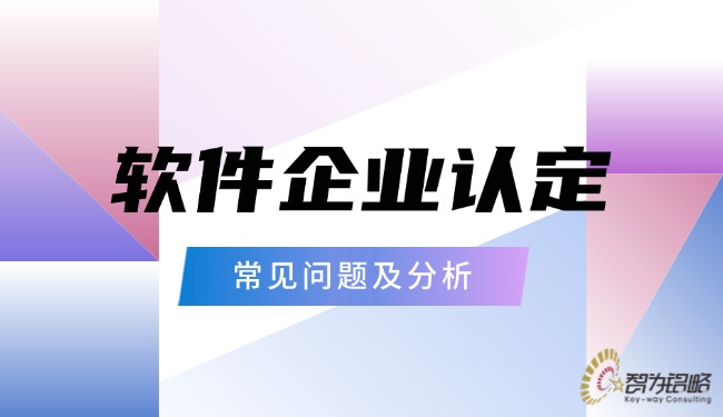1743992231138129.jpg 軟件企業(yè)認(rèn)定的常見(jiàn)問(wèn)題及分析.jpg