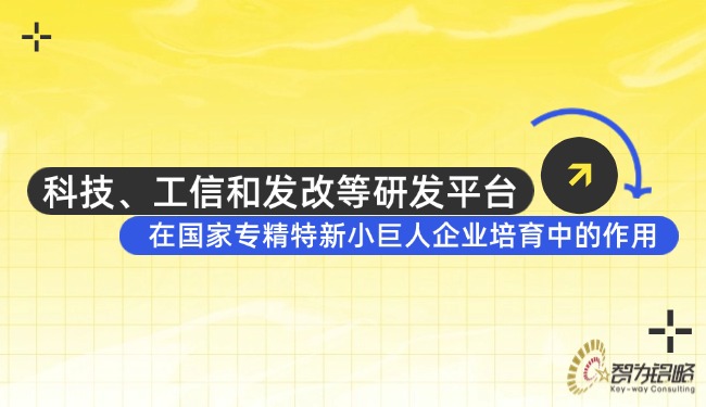 科技、工信和發(fā)改等研發(fā)平臺在國家專精特新小巨人企業(yè)培育中的作用.jpg