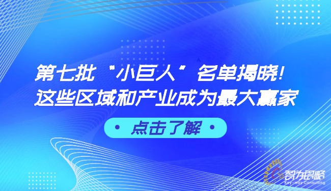 *七批“小巨人”名單揭曉！這些區(qū)域和產(chǎn)業(yè)成為*大贏家.jpg