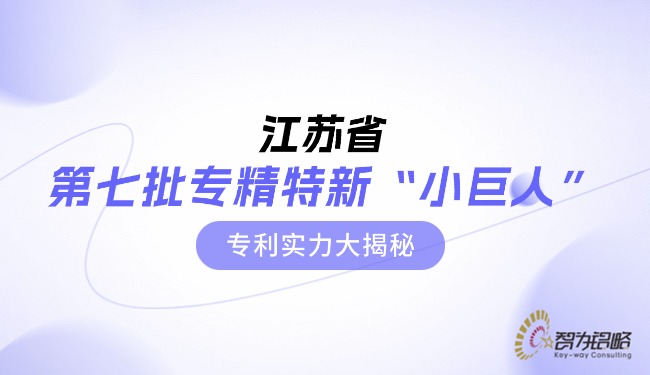 1762391924485065.jpg 江蘇省*七批專(zhuān)精特新“小巨人”專(zhuān)利實(shí)力大揭秘.jpg