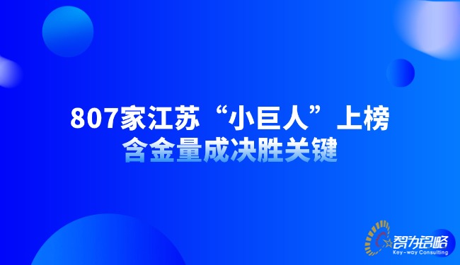 1762739978705868.jpg 807家江蘇“小巨人”上榜,含金量成決勝關鍵.jpg
