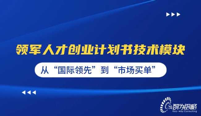 1765157033183542.jpg 領(lǐng)軍人才創(chuàng)業(yè)計(jì)劃書技術(shù)模塊—從“國(guó)際**”到“市場(chǎng)買單”.jpg