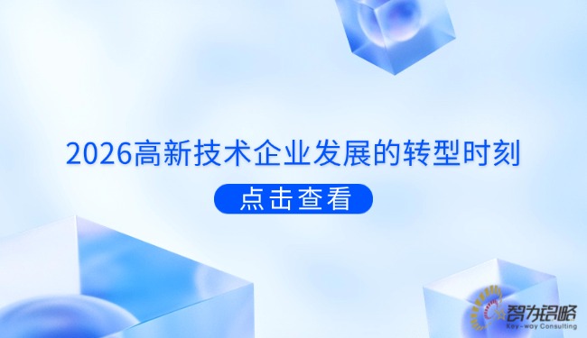 2026高新技術(shù)企業(yè)發(fā)展的轉(zhuǎn)型時(shí)刻.jpg