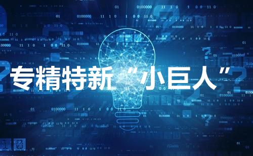 關(guān)于印發(fā)蘇州高新區(qū)(虎丘區(qū))促進(jìn)中小企業(yè)“專精特新”高質(zhì)量發(fā)展行動(dòng)計(jì)劃通知【智為銘略轉(zhuǎn)發(fā)】